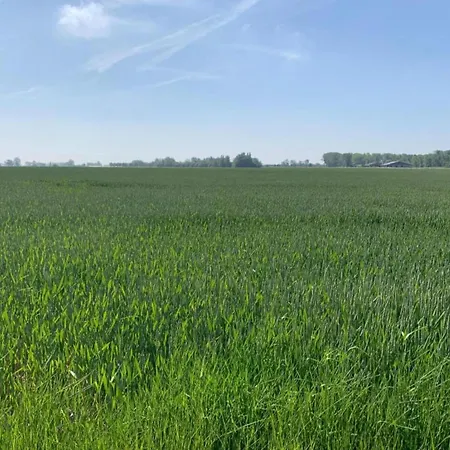Apartment Bernardus C306 With A Location