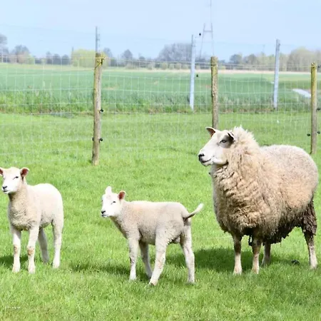 In Near The Appartement Nieuwpoort