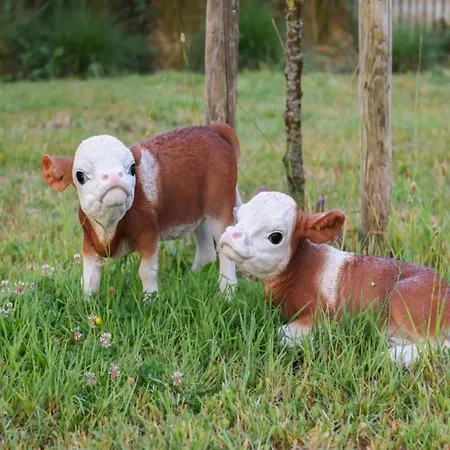 Appartement In Near The