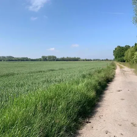 In Near The * Nieuwpoort