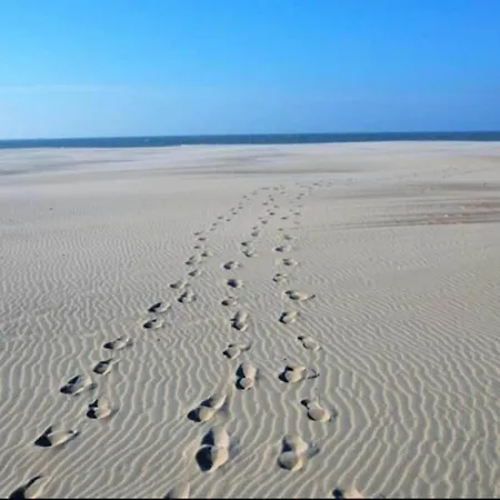 Appartement In Near The Nieuwpoort