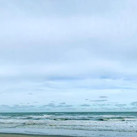 In Near The Appartement *